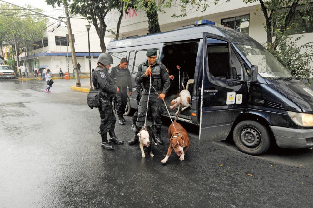 Los perros fueron trasladados a un área especial donde serán revisados por veterinarios para determinar si fueron sometidos a algún tipo de maltrato (ARMANDO MARTÍNEZ. EL UNIVERSAL)