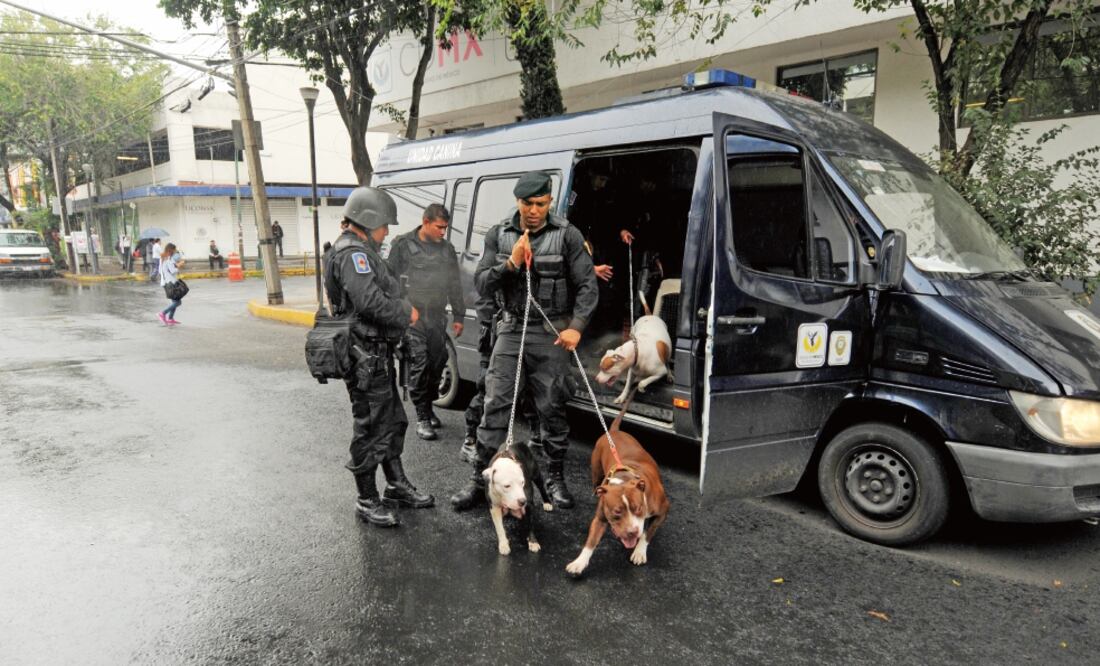 Los perros fueron trasladados a un área especial donde serán revisados por veterinarios para determinar si fueron sometidos a algún tipo de maltrato (ARMANDO MARTÍNEZ. EL UNIVERSAL)