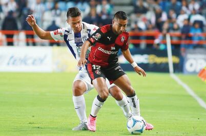 Zorro ebrio busca evitar el ‘Torito’