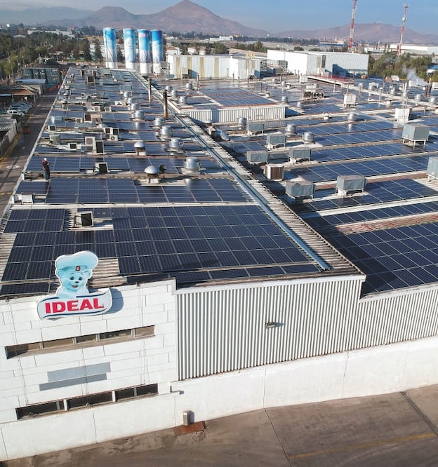 Cuidado ambiental. El techo fotovoltaico que puso en operación IDEAL, de Grupo Bimbo, es el equivalente a plantar más de 88 mil 870 árboles. ESPECIAL
