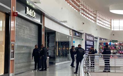 Roban joyería en Parque Delta; el monto sustraído asciende a 250 mil pesos