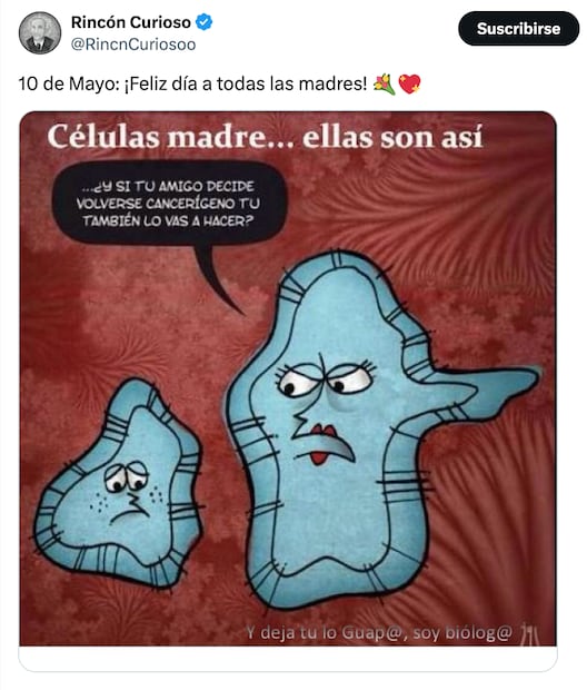 Memes del Día de las Madres en México. Foto: X