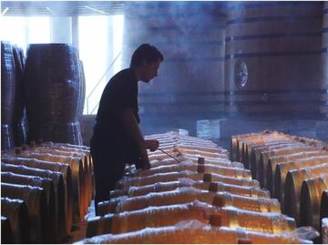 10 datos que no sabías sobre el vino mexicano