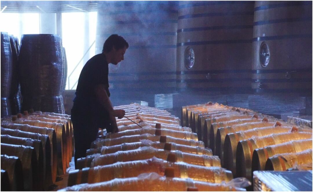 Foto: Pixabay/ Producción de vino