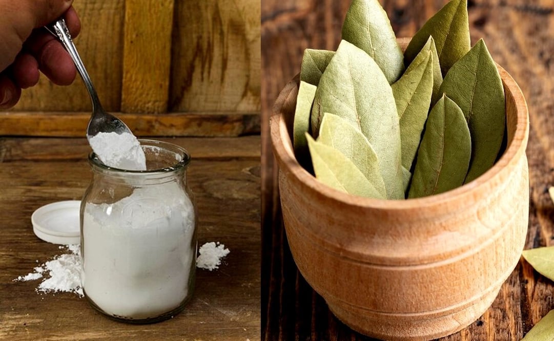 Bicarbonato con hojas de laurel. Foto: Freepik