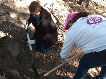 “No siempre amor con amor se paga”, Madres Buscadoras de Sonora reaccionan a tuit de AMLO por su cumpleaños