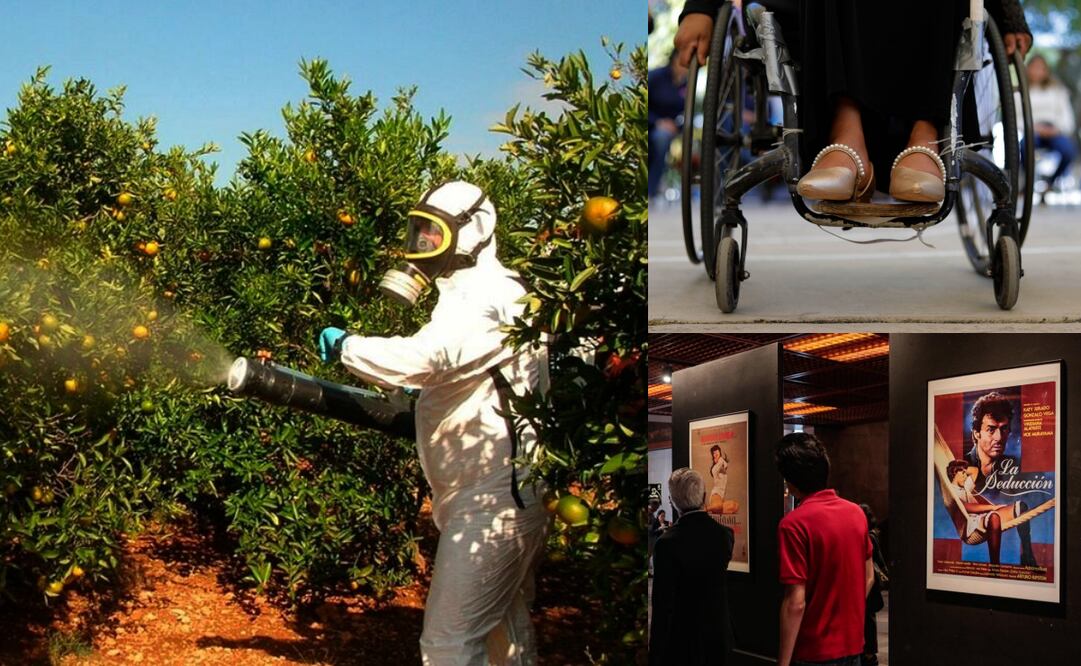 ¿Cuáles son las efemérides de hoy, 3 de diciembre?