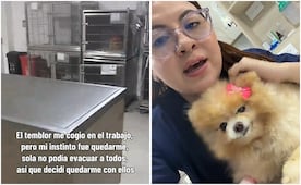 Sismo en Colombia: veterinaria se queda en clínica para proteger a perritos; gesto conmueve en redes