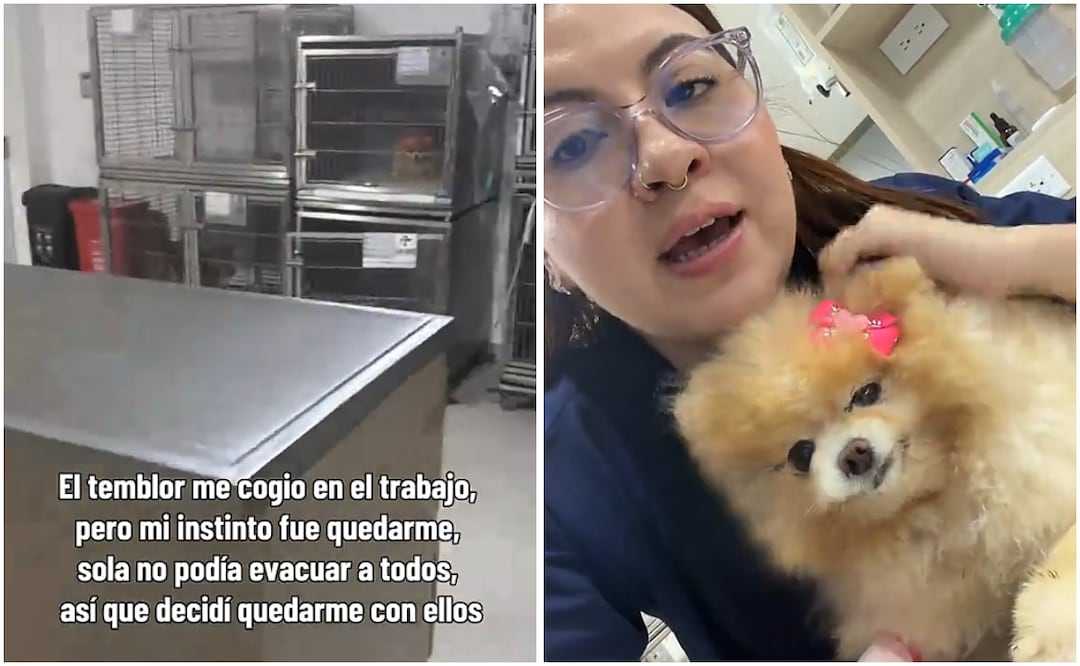Tania, una veterinaria de Colombia decidió permanecer dentro de su clínica junto a sus pacientes caninos. Foto: Captura de pantalla TikTok
