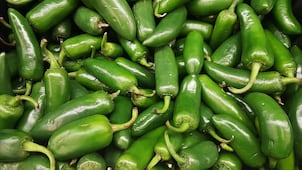 EU advierte de un brote de salmonela ligado a jalapeños de México; reportan 345 casos