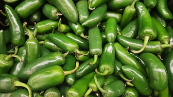 EU advierte de un brote de salmonela ligado a jalapeños de México; reportan 345 casos