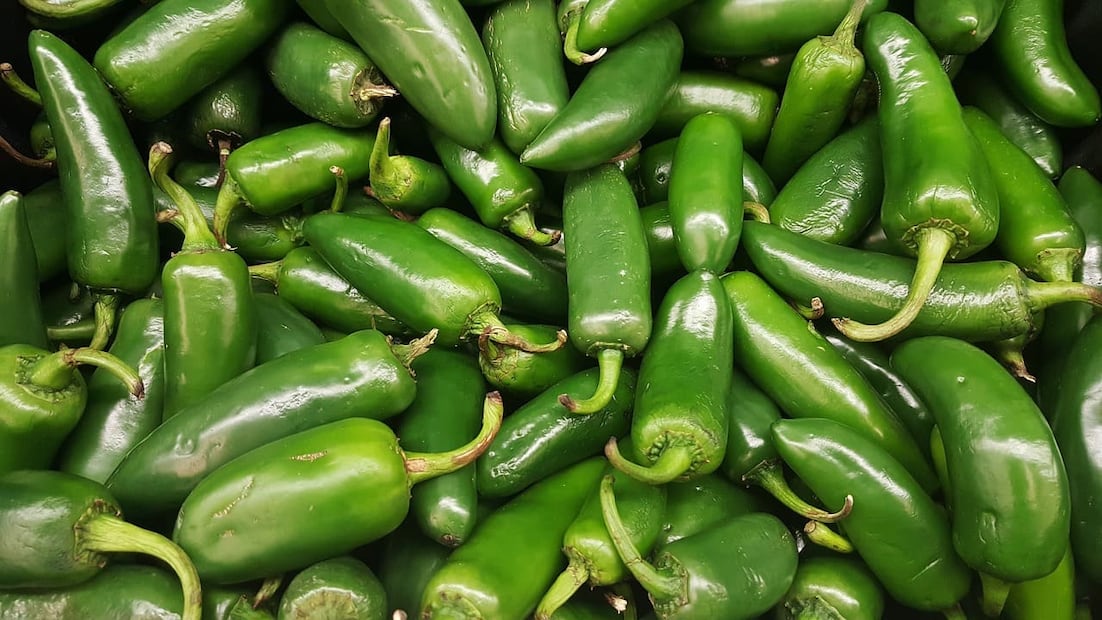 Chiles jalapeños mexicanos. Foto: Pixabay