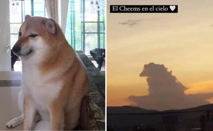 ¿Cheems aparece en el cielo? Se viraliza peculiar nube con la forma del perrito