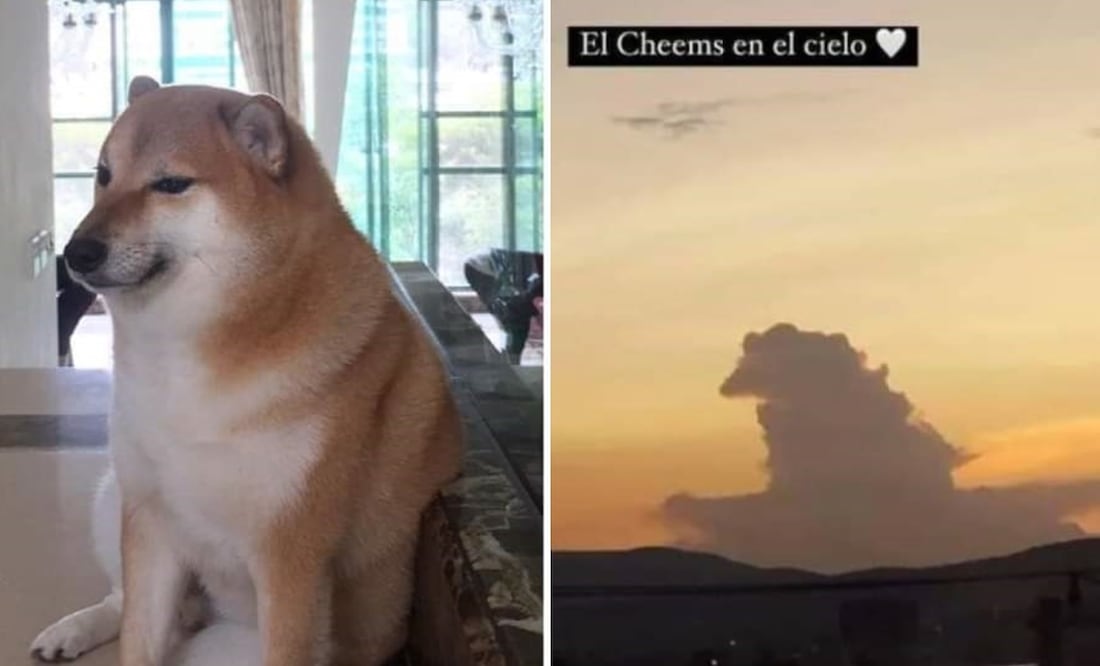 ¿Cheems aparece en el cielo? Se viraliza peculiar nube con la forma del ...