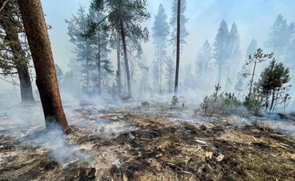 México envía más bomberos a Canadá a combatir incendios forestales