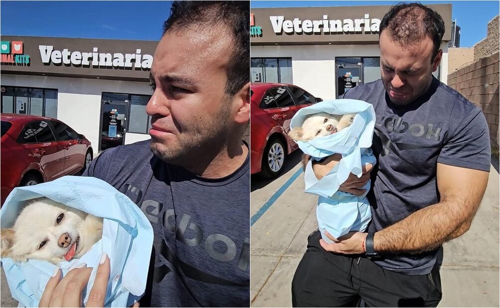 Fiscalía de Sonora investiga muerte de perrita "Channel" en veterinaria de Hermosillo. Foto: Especial