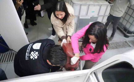 Álvaro Obregón recibe donación de 400 litros de aceite vegetal de Alsea 