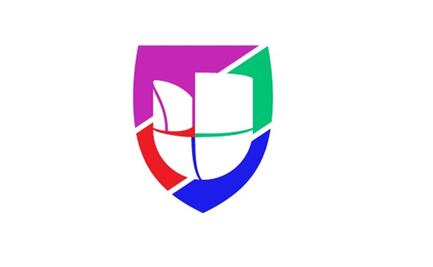 Guerra de televisoras en Copa América