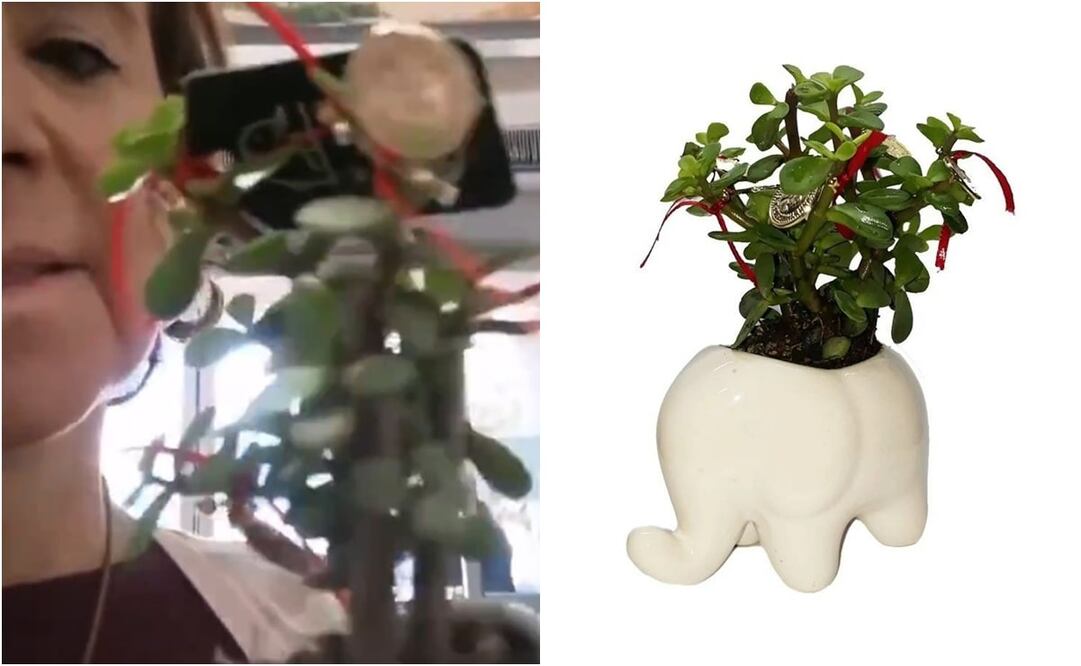 La mujer señaló que la tienda es parte del nuevo gobierno globalista. Foto: X y Walmart