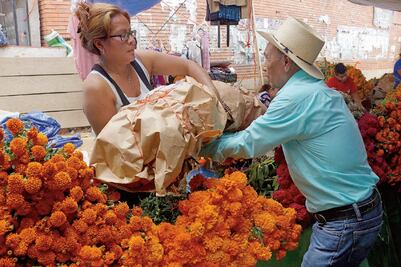 Lluvias pegan a producción de la flor de cempasúchil