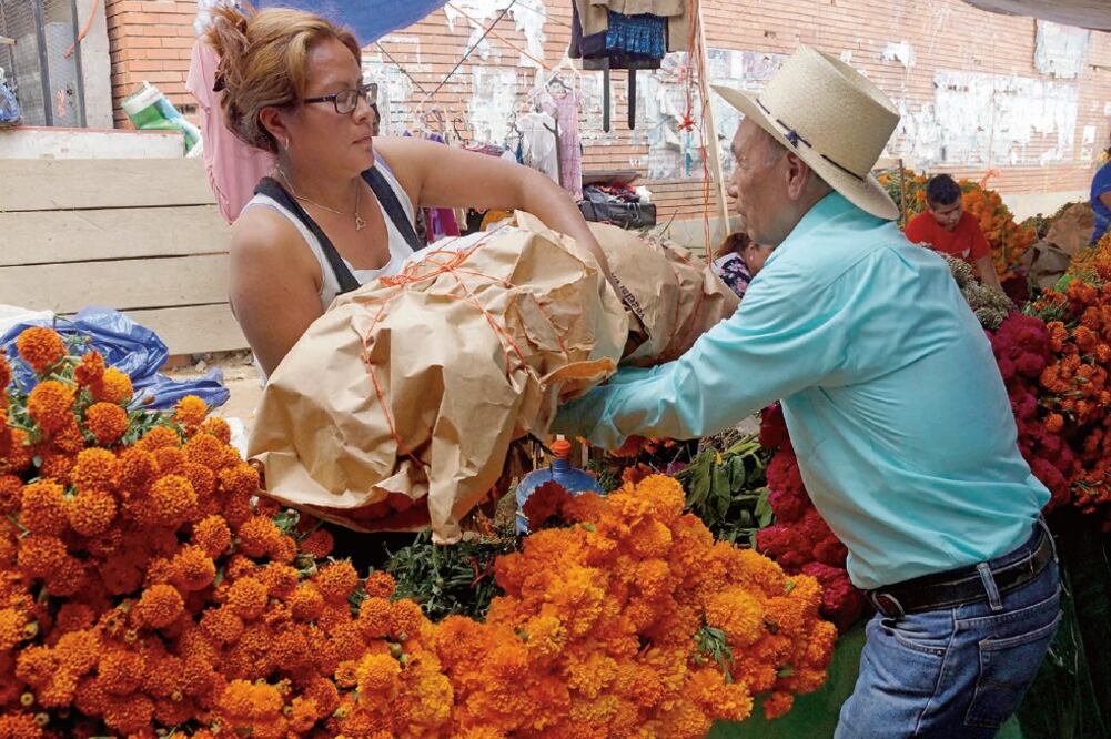 La disminución en la cosecha de flor de muerto preocupa a los comerciantes, pues para muchas familias es su único sustento económico. (EDWIN HERNÁNDEZ. EL UNIVERSAL)