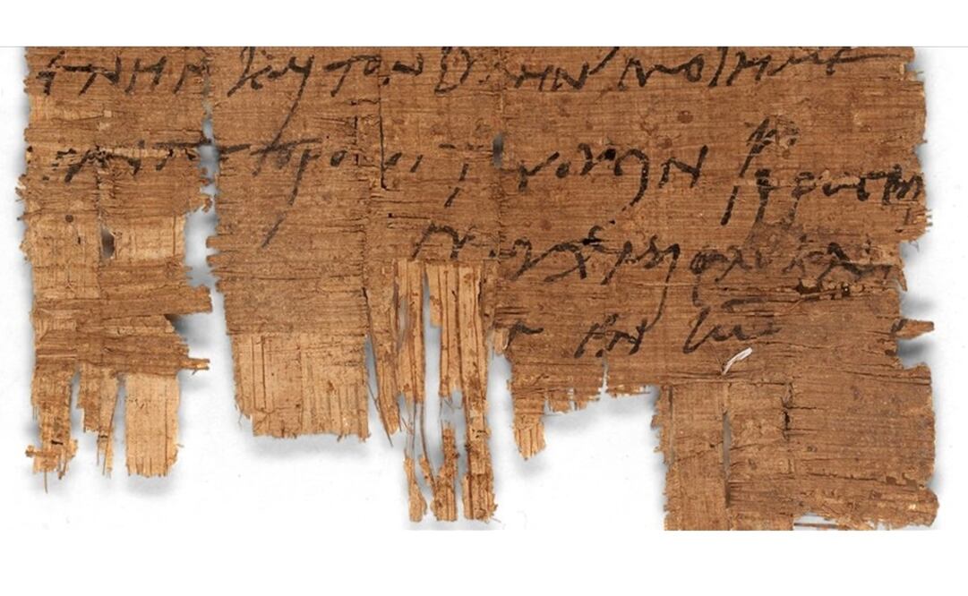 Foto: Twitter / Universidad de Basilea