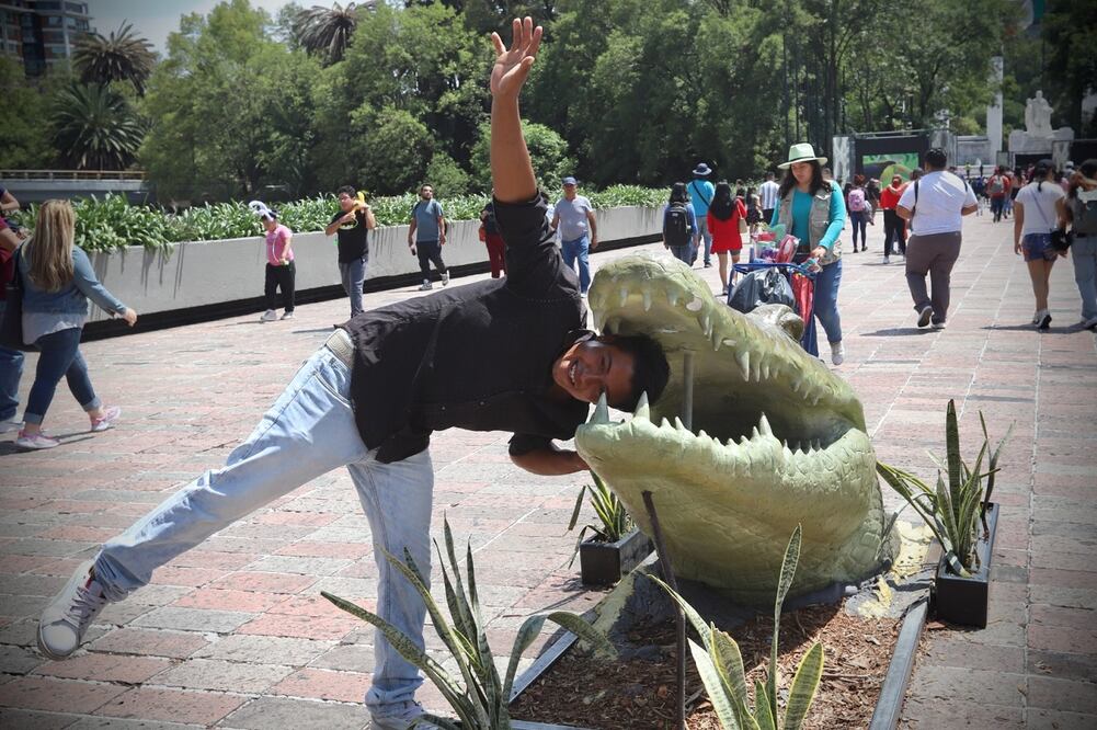 Animalística. Foto. Berenice Fregoso