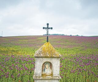 Crece volatilidad en mercado de drogas