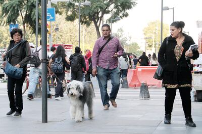Hombres son más propensos a padecer cáncer de páncreas, asegura especialista