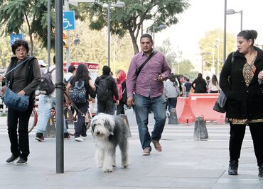 Hombres son más propensos a padecer cáncer de páncreas, asegura especialista