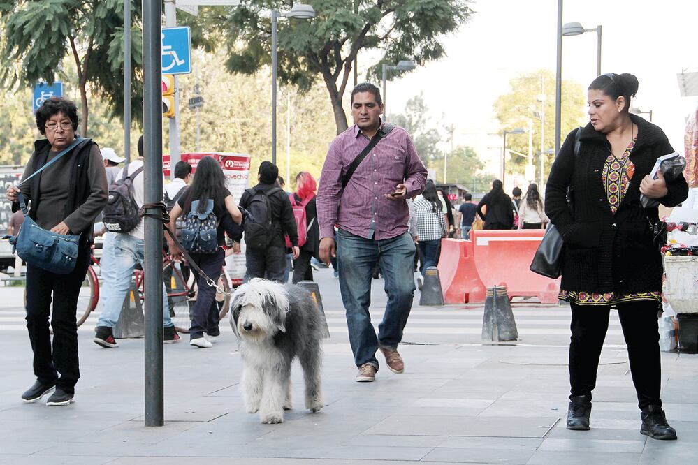 Archivo / EL UNIVERSAL