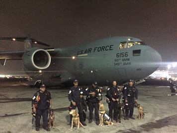 Perros de búsqueda de California llegan a México para ayudar en rescates