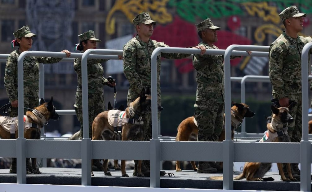 Binomios caninos del Ejército mexicano en el desfile cívico militar por el 216 aniversario de la Independencia de México el 16 de septiembre de 2026. Foto: Hugo Salvador / EL UNIVERSAL
