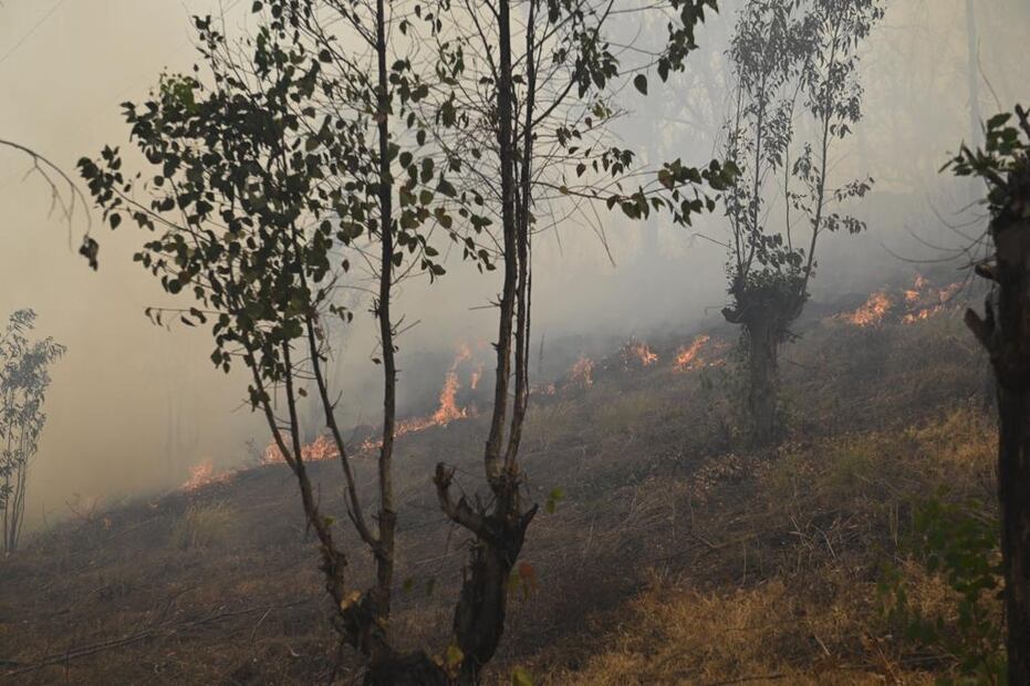 Bomberos trabajan para controlar el fuego. FOTOS: Especiales/ EL UNIVERSAL/