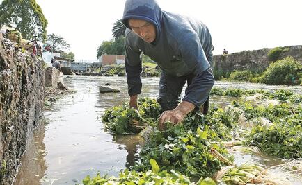 Desarrollarán potabilizador de agua para zonas rurales