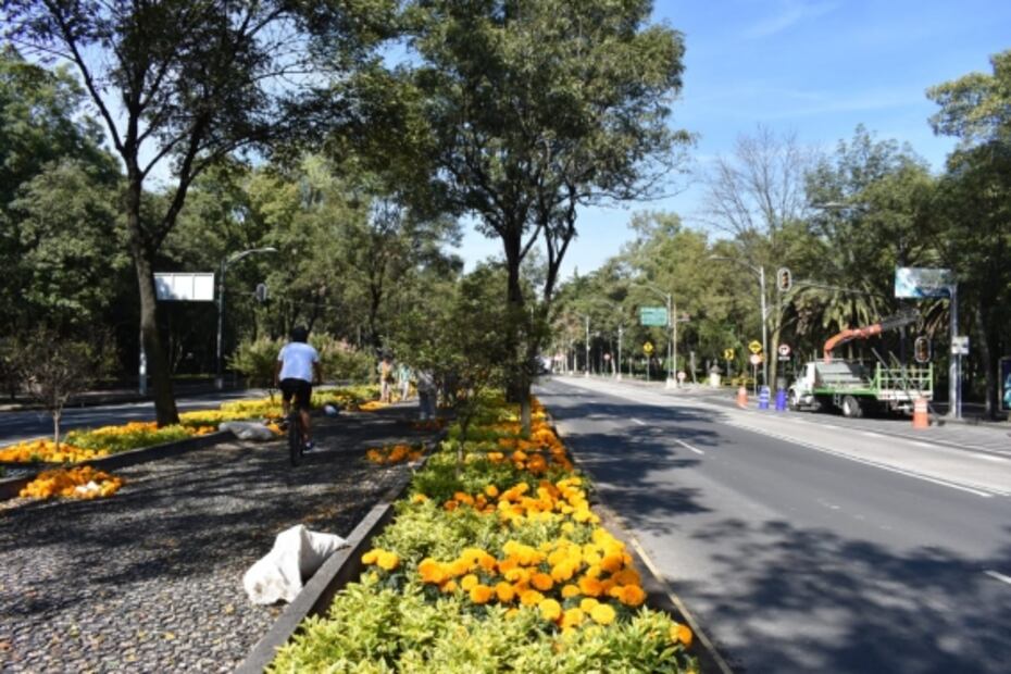 "Pintan" de naranja las calles de la CDMX por Día de Muertos 