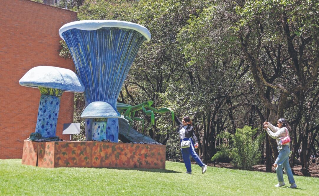 Capitalinos y turistas no no pierden oportunidad para tomarse fotos en el enorme hongo en tonos morados que sobresale afuera del Museo de Sitio. Foto: de YARETZY M. OSNAYA. EL UNIVERSAL
