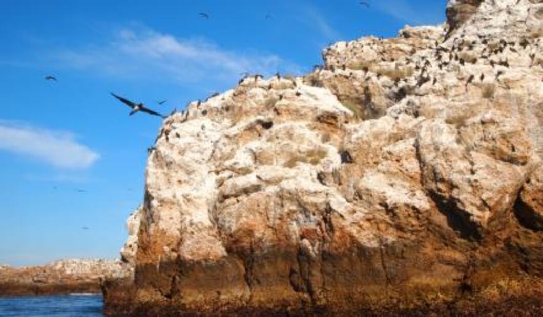 Por amor a las Islas Marietas, obedece las reglas