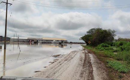 Lluvias en el oriente de Yucatán dejan inundaciones y caída de árboles