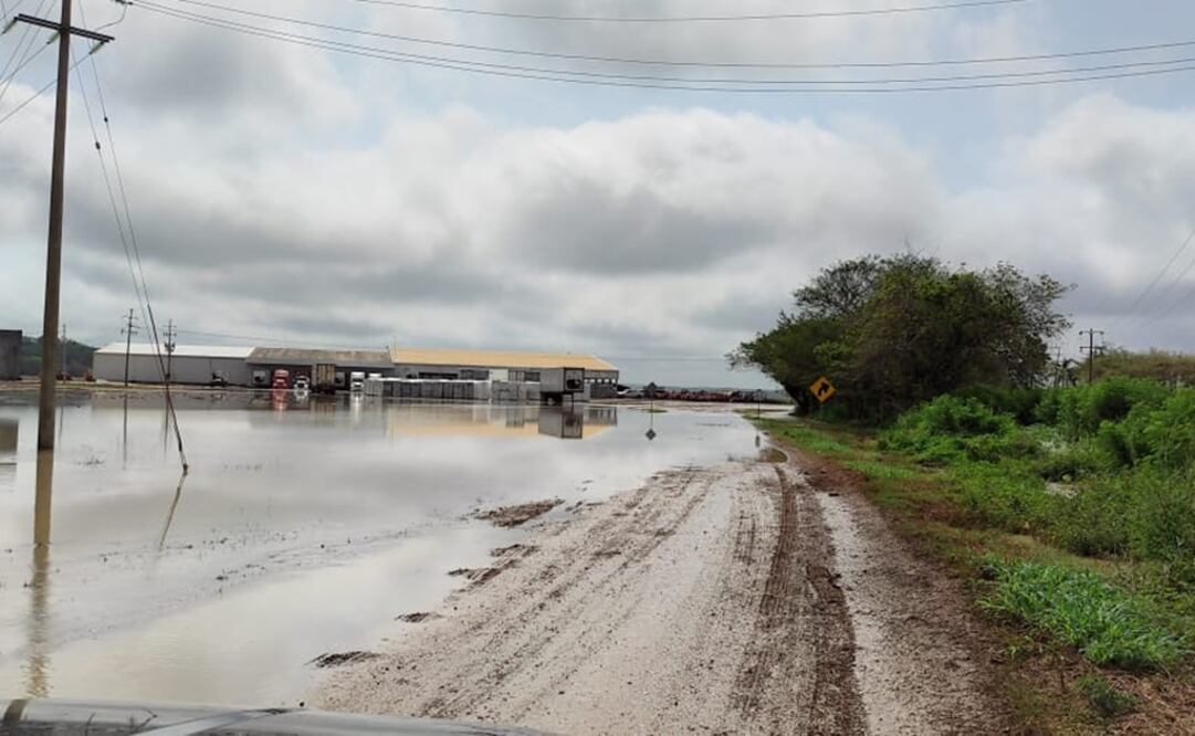 Los fuertes vientos desatados en el oriente del estado y parte del sur de Yucatán, provocaron caída de árboles e inundaciones. Foto: Especial