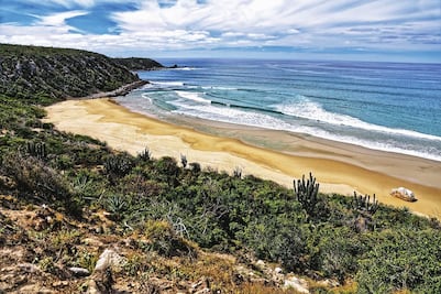 ¿Cuánto cuesta visitar las Islas Marías? 