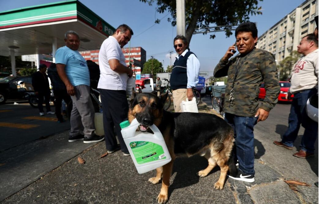 Un perro pastor llamado “Max” acompaña a su dueño a comprar gasolina en la CDMX. Foto: Berenice Fregoso