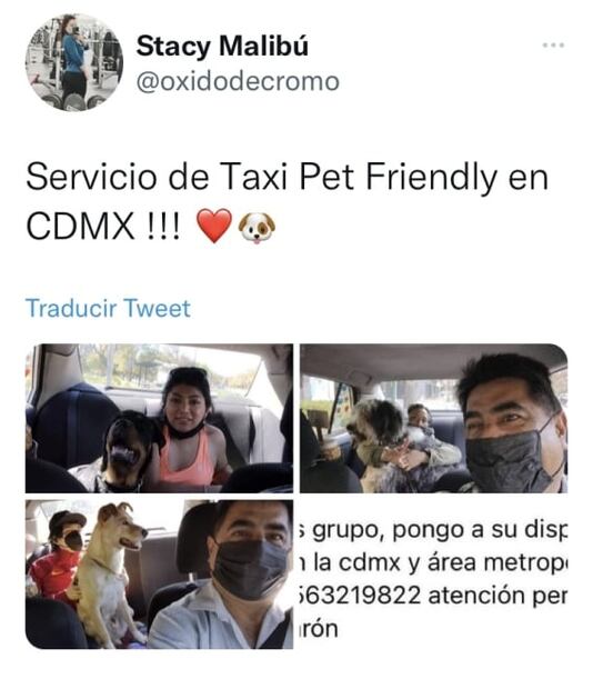 Taxista de perros de la CDMX se vuelve viral 