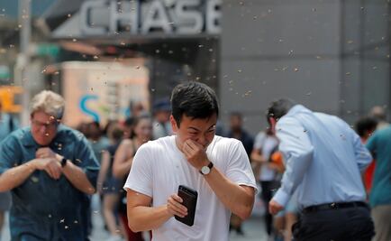 Enjambre de abejas invade Times Square de Nueva York