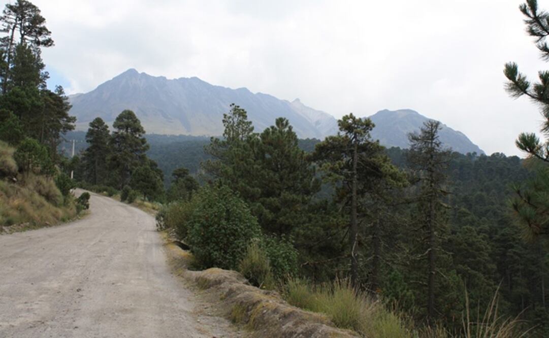 (Foto: Archivo / EL UNIVERSAL)