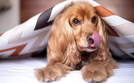 ¿A qué hora hará más frío hoy, 8 de diciembre de 2021?