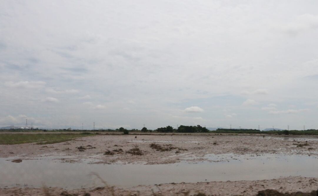 Secretario de Agricultura y Ganadería del estado, Jesús Palazuelos Valdez. Foto: Especial