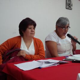 Temen “candados” para activar alerta de violencia de género 