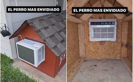 Bruno, el perrito que "causa envidia" por tener aire acondicionado en su pequeña casa