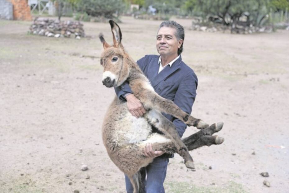 Burrolandia, el amor por la preservación